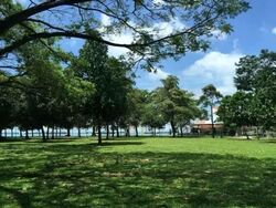 Seaside Residences (D15), Apartment #561808681
